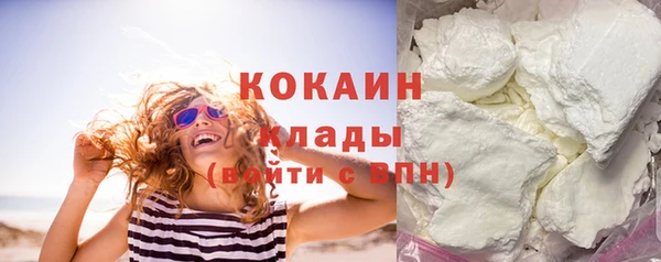 ГАЛЛЮЦИНОГЕННЫЕ ГРИБЫ Бородино