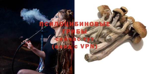 прущие крисы Бугульма