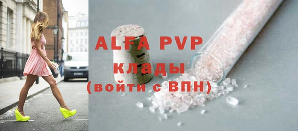 ГАЛЛЮЦИНОГЕННЫЕ ГРИБЫ Бородино