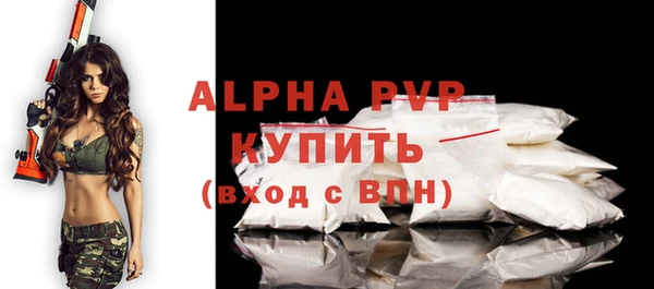ГАЛЛЮЦИНОГЕННЫЕ ГРИБЫ Бородино