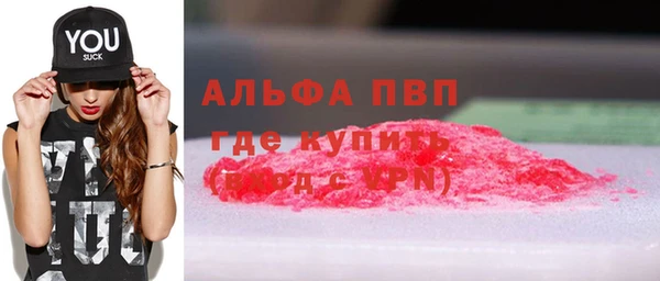 ГАЛЛЮЦИНОГЕННЫЕ ГРИБЫ Бородино