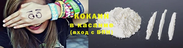 ГАЛЛЮЦИНОГЕННЫЕ ГРИБЫ Бородино