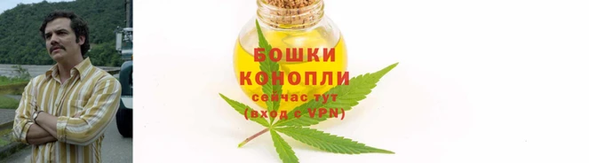 прущие крисы Бугульма