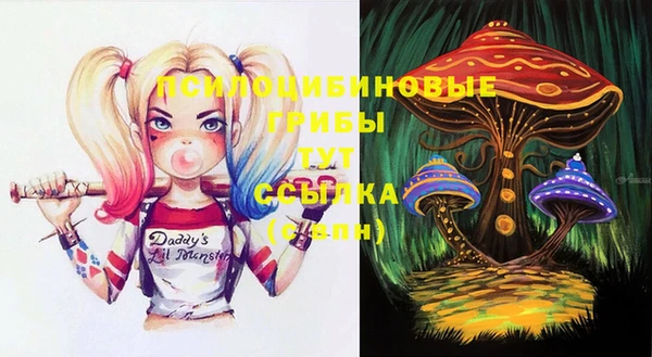 прущие крисы Бугульма