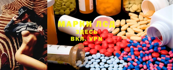 ГАЛЛЮЦИНОГЕННЫЕ ГРИБЫ Бородино