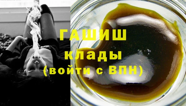 ГАЛЛЮЦИНОГЕННЫЕ ГРИБЫ Бородино