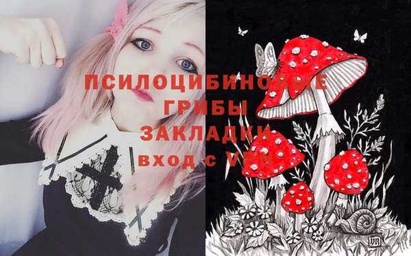 spice Бронницы