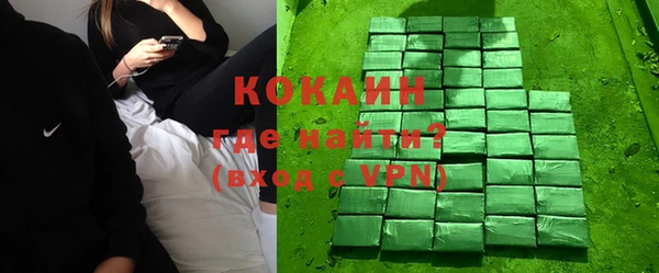 ГАЛЛЮЦИНОГЕННЫЕ ГРИБЫ Бородино